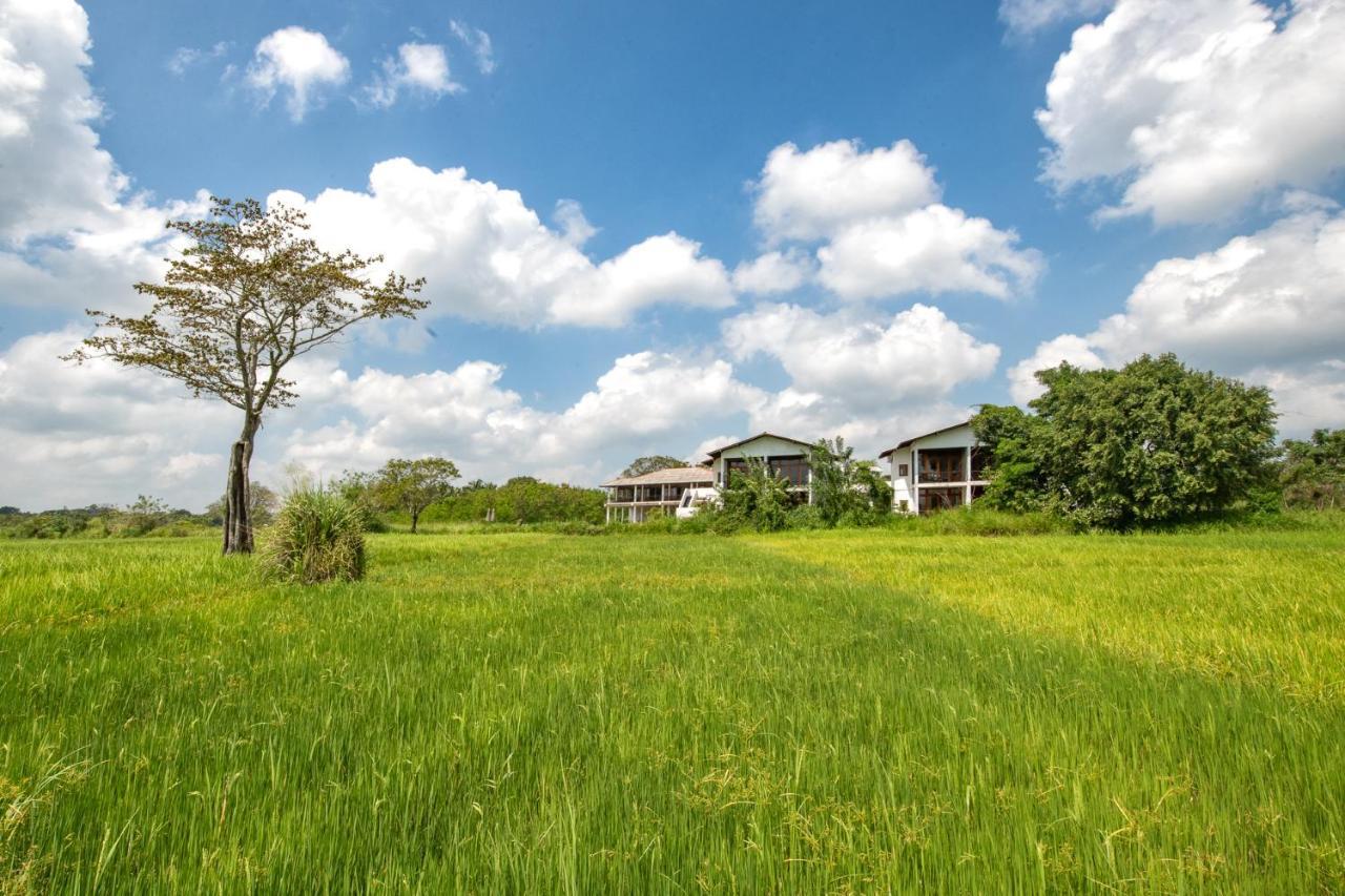 Ceylon Breeze Sigiriya Otel Dış mekan fotoğraf